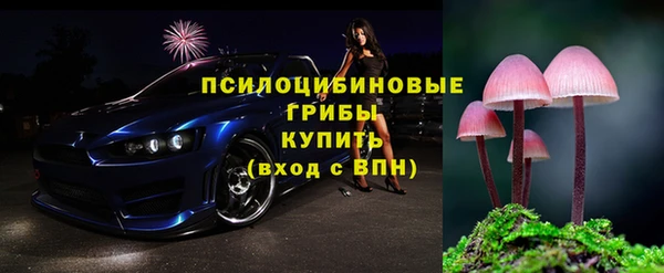 твердый Медвежьегорск