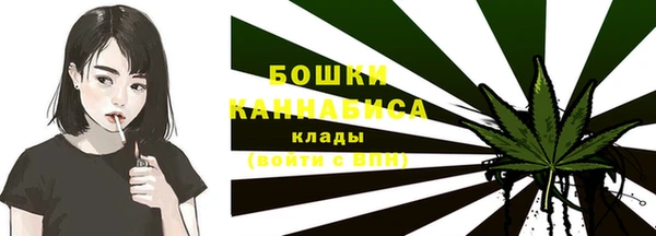 ГАЛЛЮЦИНОГЕННЫЕ ГРИБЫ Медногорск