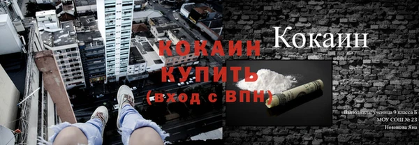 ГАЛЛЮЦИНОГЕННЫЕ ГРИБЫ Медногорск