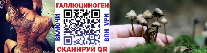 Купить закладки  Ставрополь  Псилоцибиновые грибы Psilocybine cubensis 